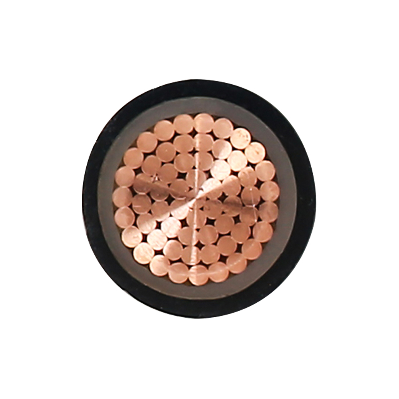 สายชาร์จ EV สำหรับแรงดันไฟฟ้า 450/750V