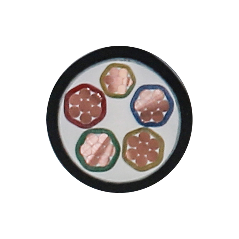 สายชาร์จ EV สำหรับแรงดันไฟฟ้า 450/750V