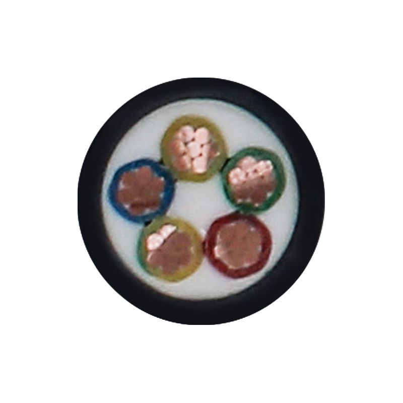 สายชาร์จ EV สำหรับแรงดันไฟฟ้า 450/750V