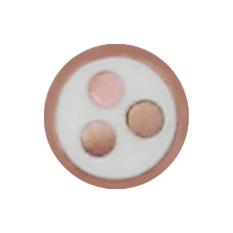 สายชาร์จ EV สำหรับแรงดันไฟฟ้า 450/750V