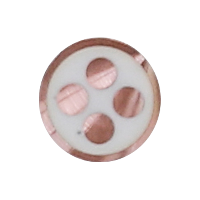 สายชาร์จ EV สำหรับแรงดันไฟฟ้า 450/750V