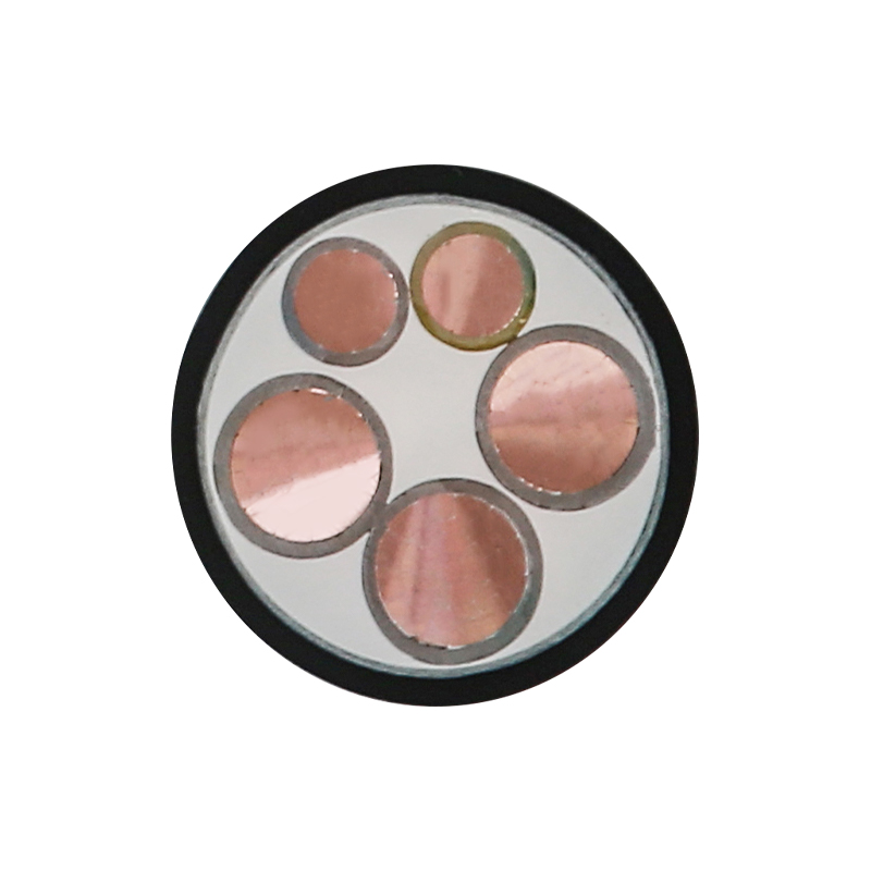 สายชาร์จ EV สำหรับแรงดันไฟฟ้า 450/750V