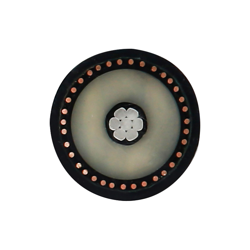 สายชาร์จ EV สำหรับแรงดันไฟฟ้า 450/750V