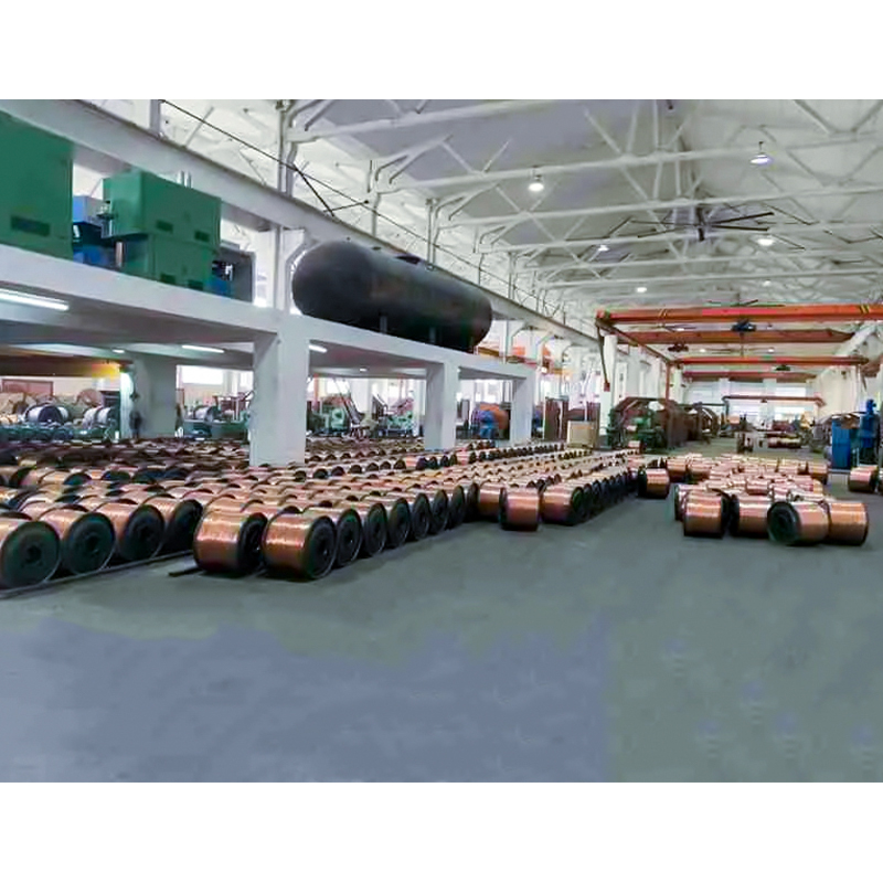 สายไฟหุ้มฉนวน XLPE/PVC (สาย) พิกัดแรงดันไฟฟ้าไม่เกิน 450/750V